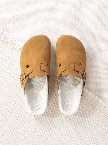 Bayton Dreváky - Hnedá