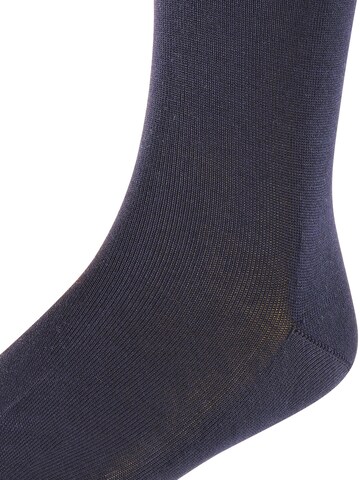 FALKE Socks 'Cotton Finesse' in Blue