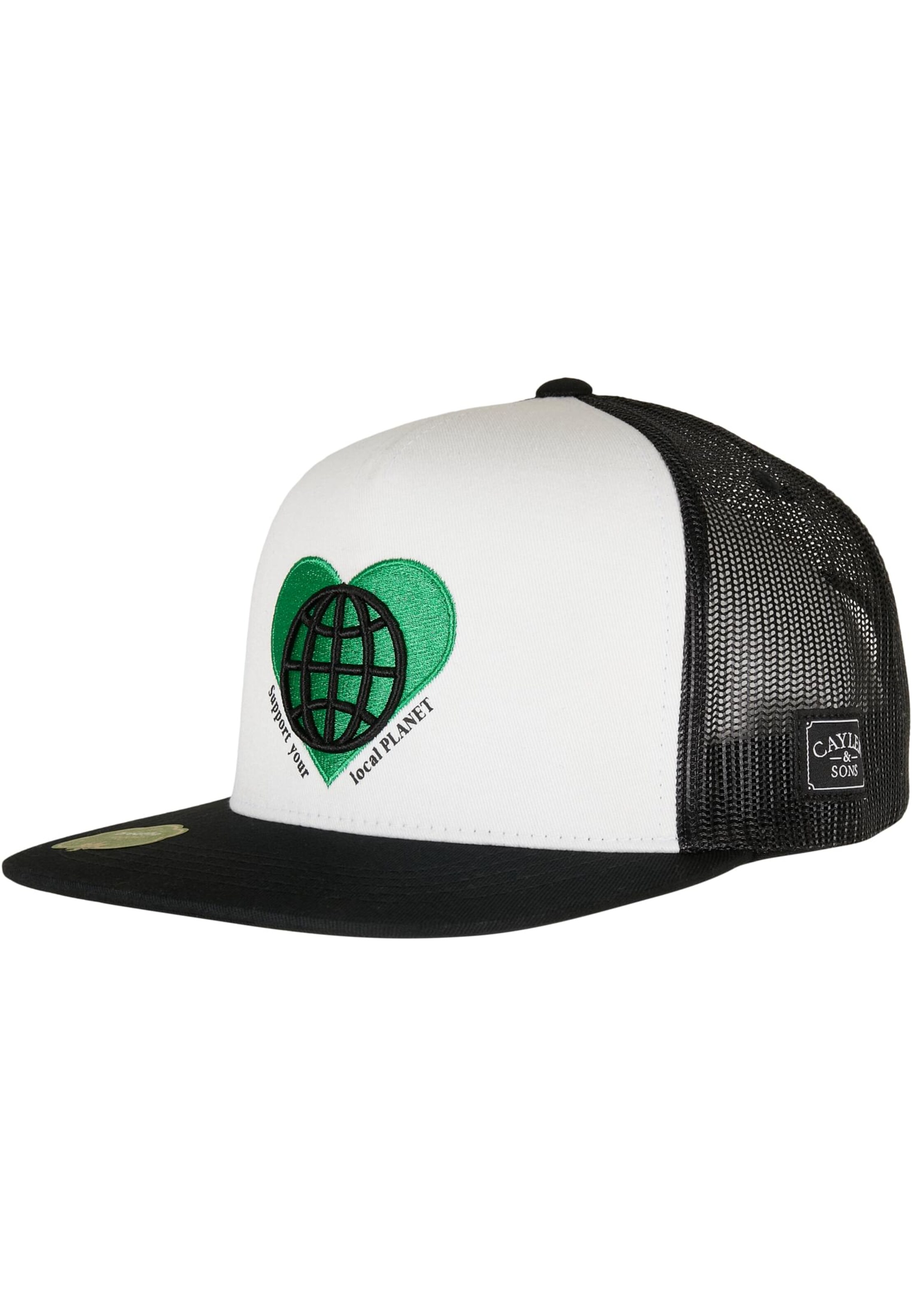 Cayler & Sons Cap in Black: front