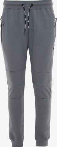 Threadbare Tapered Pants 'Tristain' in Grey: front