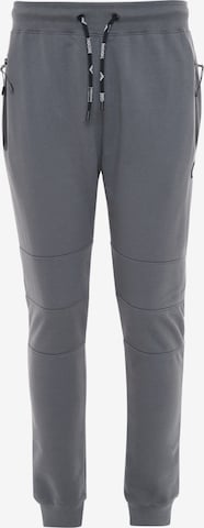 Pantalon 'Tristain' Threadbare en gris : devant