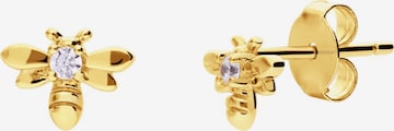 Lucardi Oorbellen 'Klassisch' in Goud: voorkant