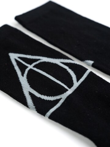 Harry Potter Socken 'Hogwarts'‌‌‌‌‌‌‌ in Mischfarben
