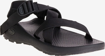 Chaco Sandaalit 'MENS Z/1' värissä musta: etupuoli