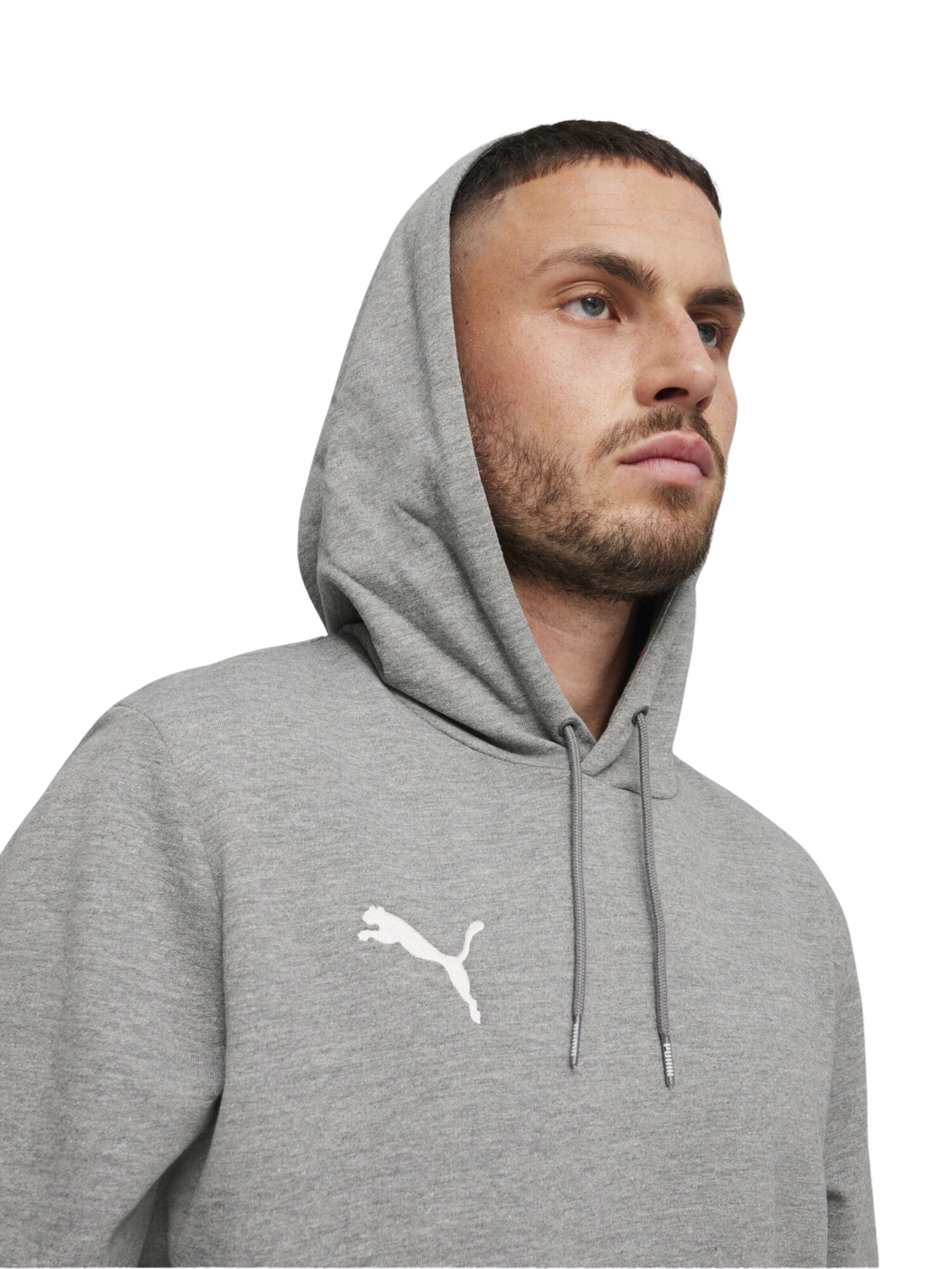 Felpa sportiva 'Team Goal' di PUMA in grigio