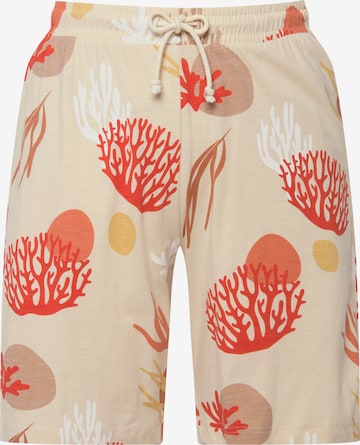 Ulla Popken Regular Shorts  (GOTS) in Beige: predná strana