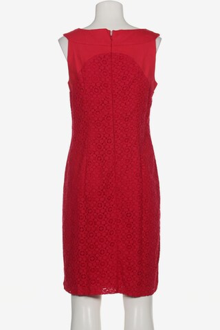 Adrianna Papell Kleid XL in Rot