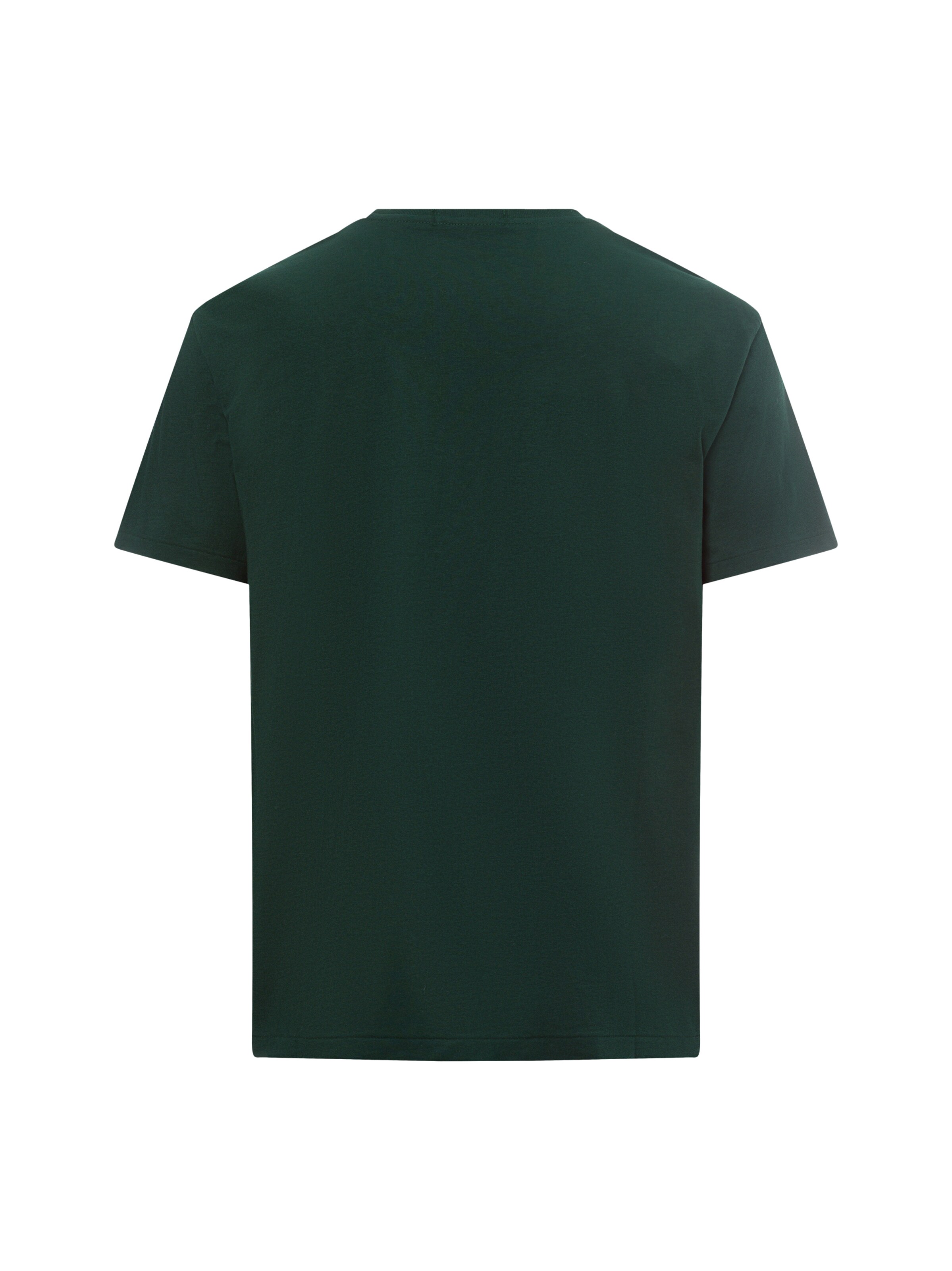 Polo Ralph Lauren Shirt in Groen
