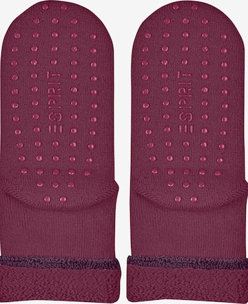 ESPRIT Socks 'Cozy' in Red: front