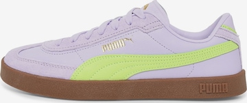 PUMA Низкие кроссовки 'Club II Era' в Лиловый: спереди