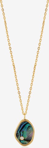 ANIA HAIE Necklace in Gold: front