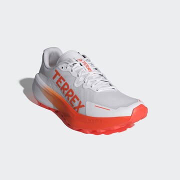 ADIDAS TERREX - Zapatos bajos 'Agravic 3' en blanco
