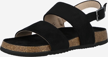 ABOUT YOU Босоножки 'Defne' в Черный: спереди