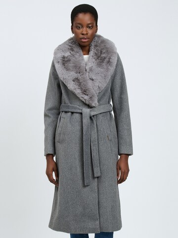 Influencer Winter Coat in Grey: front