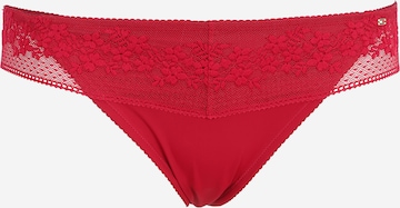 Tommy Hilfiger Curve Thong in Red: front