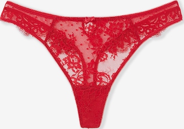 String 'Infini' di ETAM in rosso: frontale