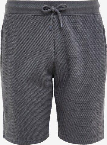 Threadbare Regular Pants 'Fergie' in Grey: front