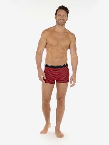 HOM Boxer shorts in Mixed colors