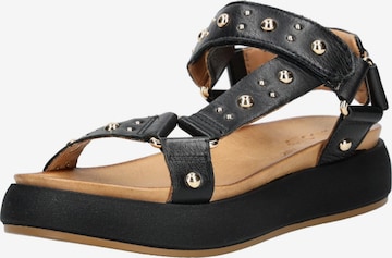 INUOVO Sandals in Black: front