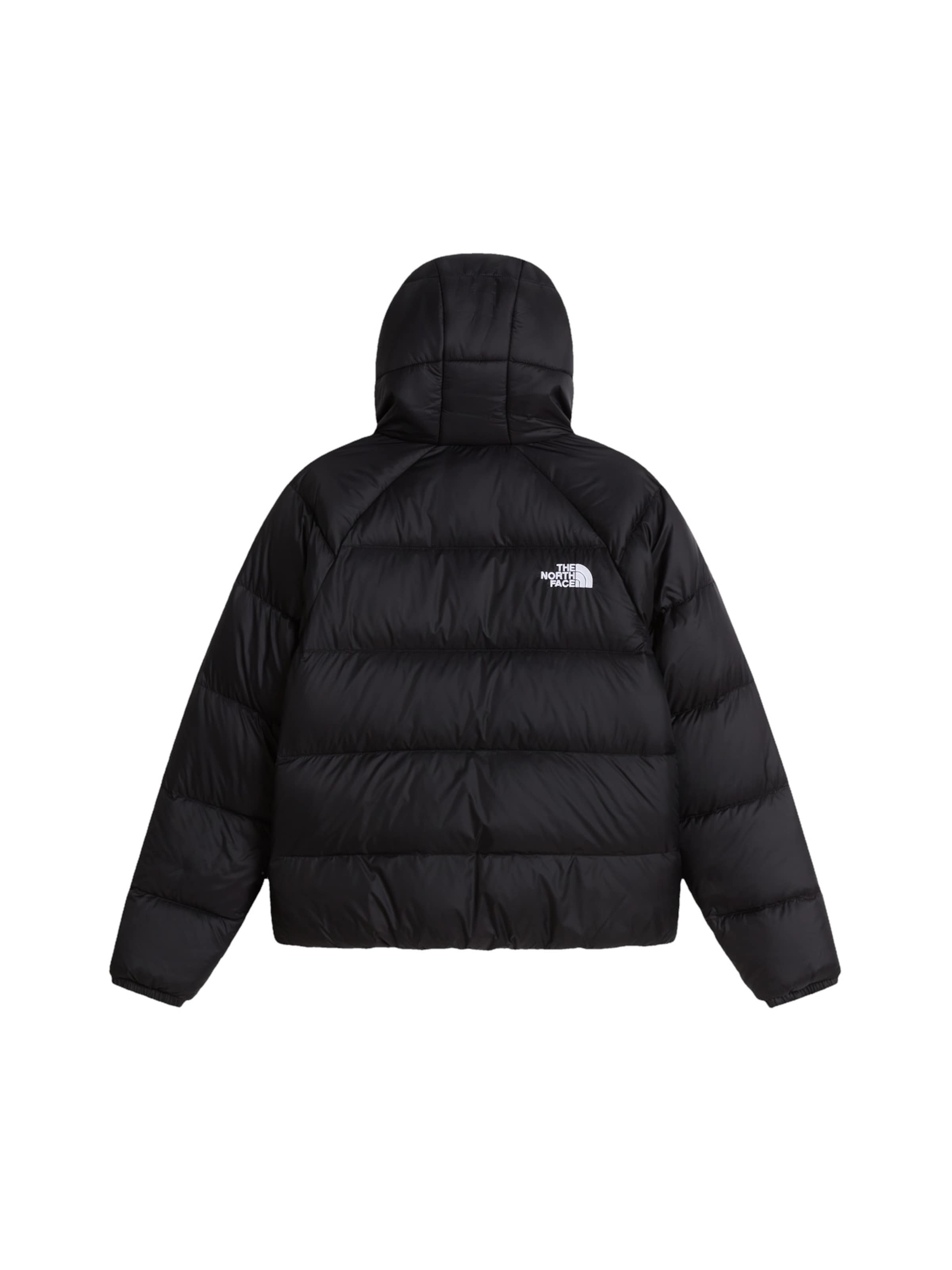 juoda THE NORTH FACE Laisvalaikio striukė 'Hydrenalite'