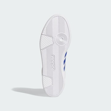 ADIDAS SPORTSWEAR Sneakers hoog 'Hoops Mid Classic' in Wit