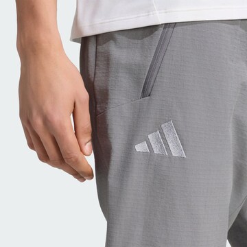 ADIDAS TERREX - Tapered Calças outdoor 'Xperior Utilitas' em cinzento