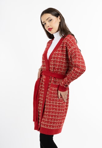 faina Gebreid vest 'Koosh' in Rood: voorkant