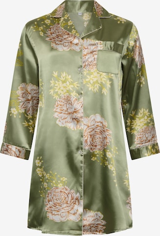 Orchibelle Nightgown in Green: front