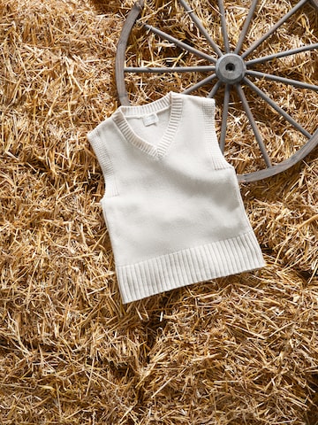 Pull-over 'Jaden' Kendall for ABOUT YOU en beige