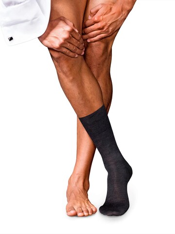 FALKE Socks 'No. 6 Finest Merino & Silk' in Grey: front