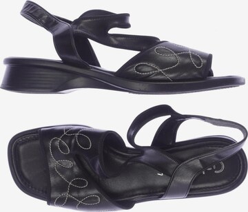 GABOR Sandals & High-Heeled Sandals in 40,5 in Black: front
