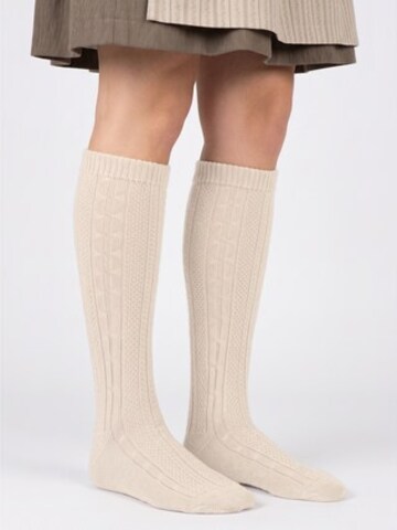 celodoro Knee High Socks 'Tradition' in White: front