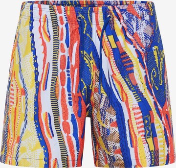 Carlo Colucci Board Shorts 'De Cicco' in Mixed colors: front