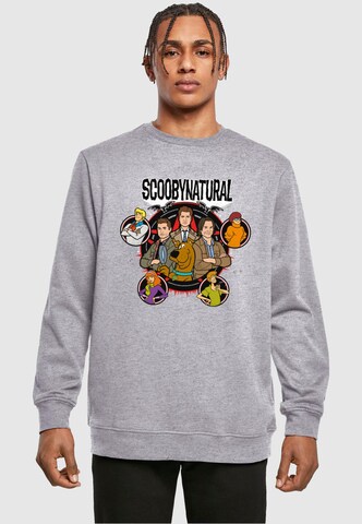 ABSOLUTE CULT Sweatshirt 'Scooby - Natural Characters' in Grijs: voorkant