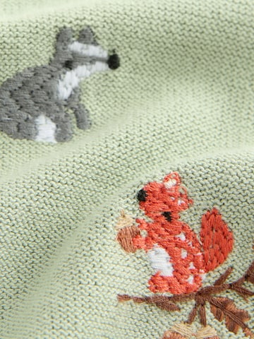 Next Pullover in Grün