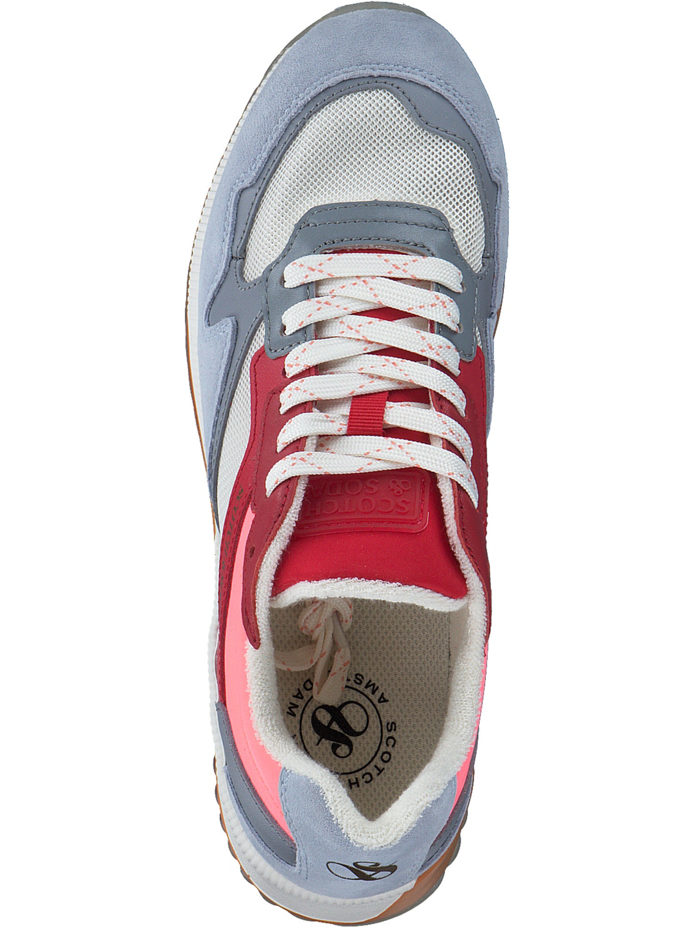 SCOTCH & SODA Sneaker 'Vivi' in Mischfarben