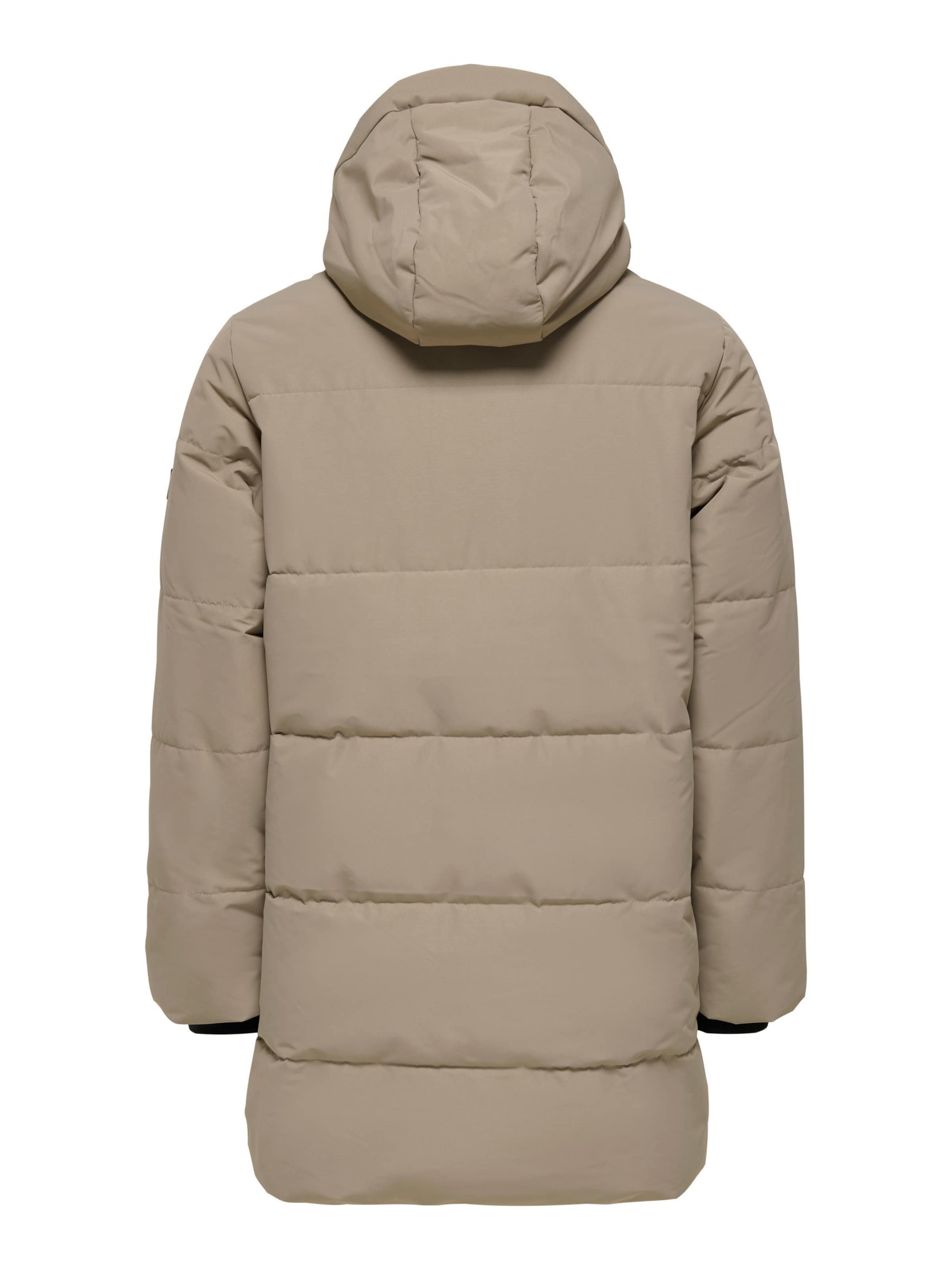 Only & Sons Winterparka 'ONSCam' in Grijs