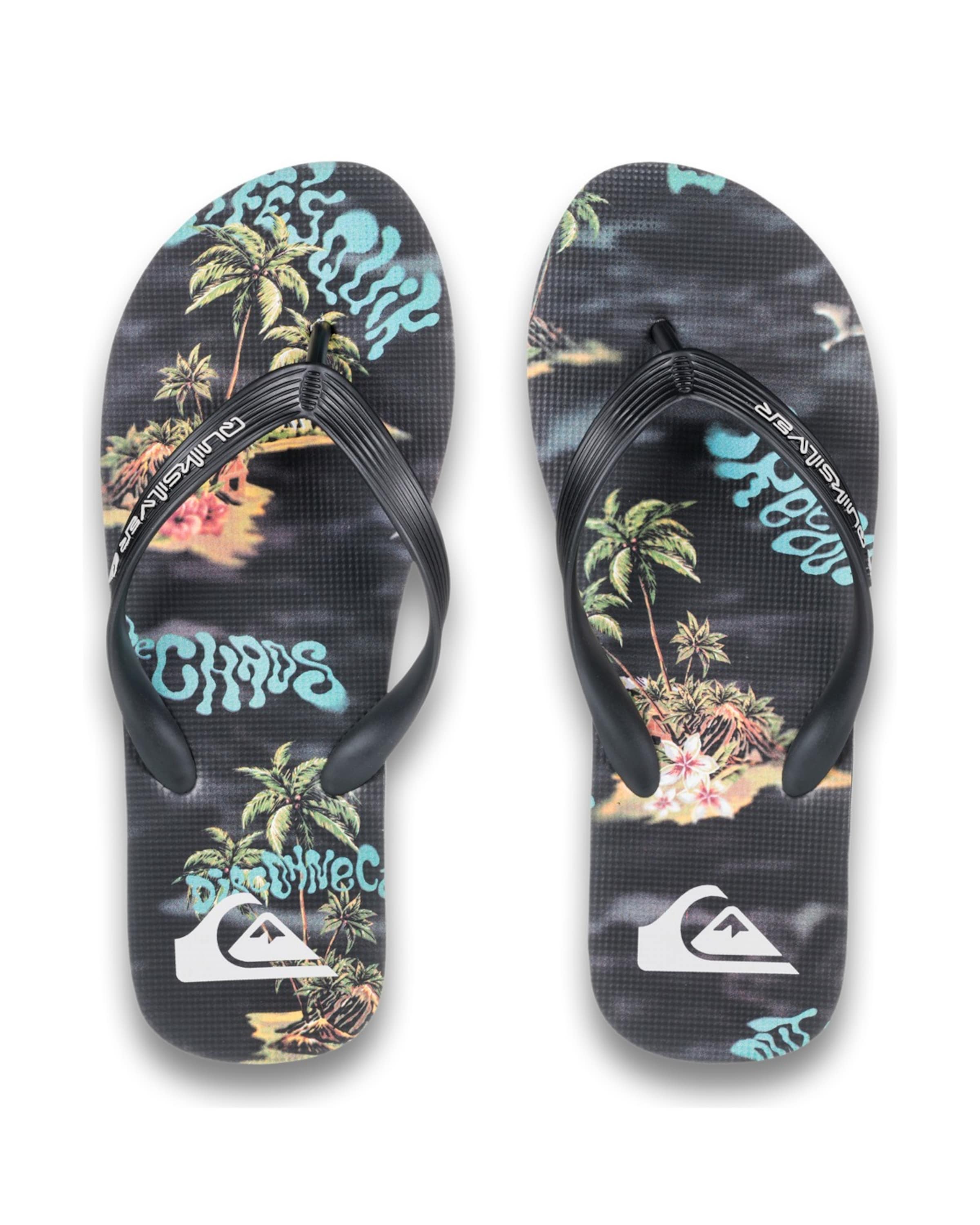 QUIKSILVER Zehentrenner 'Molokai Art 25' in Schwarz