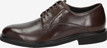 SIOUX Lace-Up Shoes 'Nazareno' in Brown