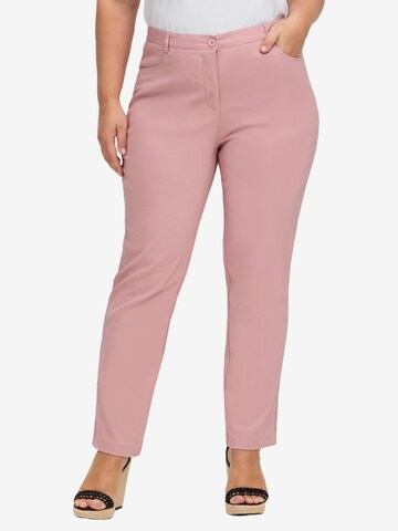 SHEEGO Regular Pants in Pink: front