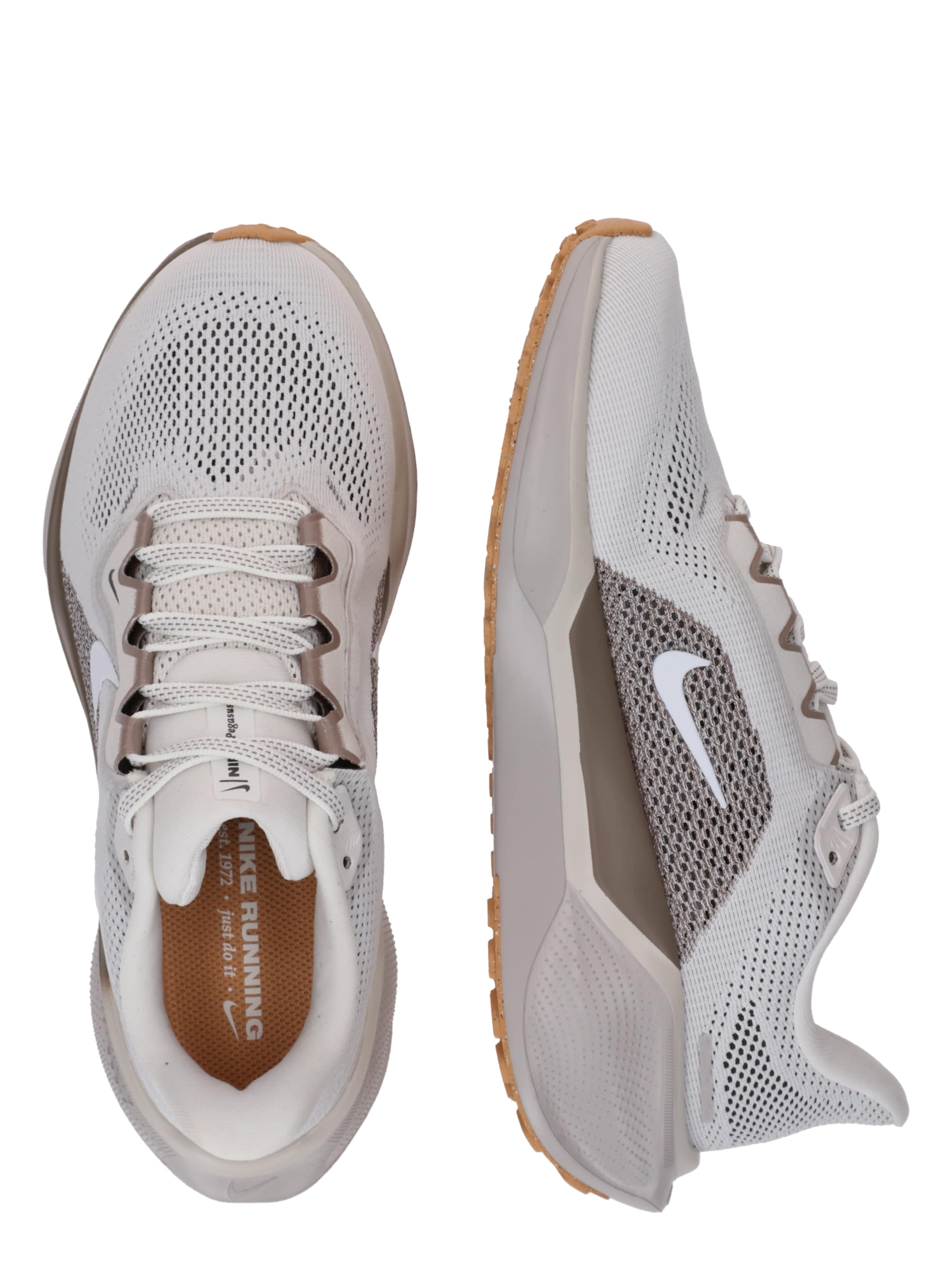 NIKE Nizke superge 'Air Zoom Pegasus 41' | siva barva