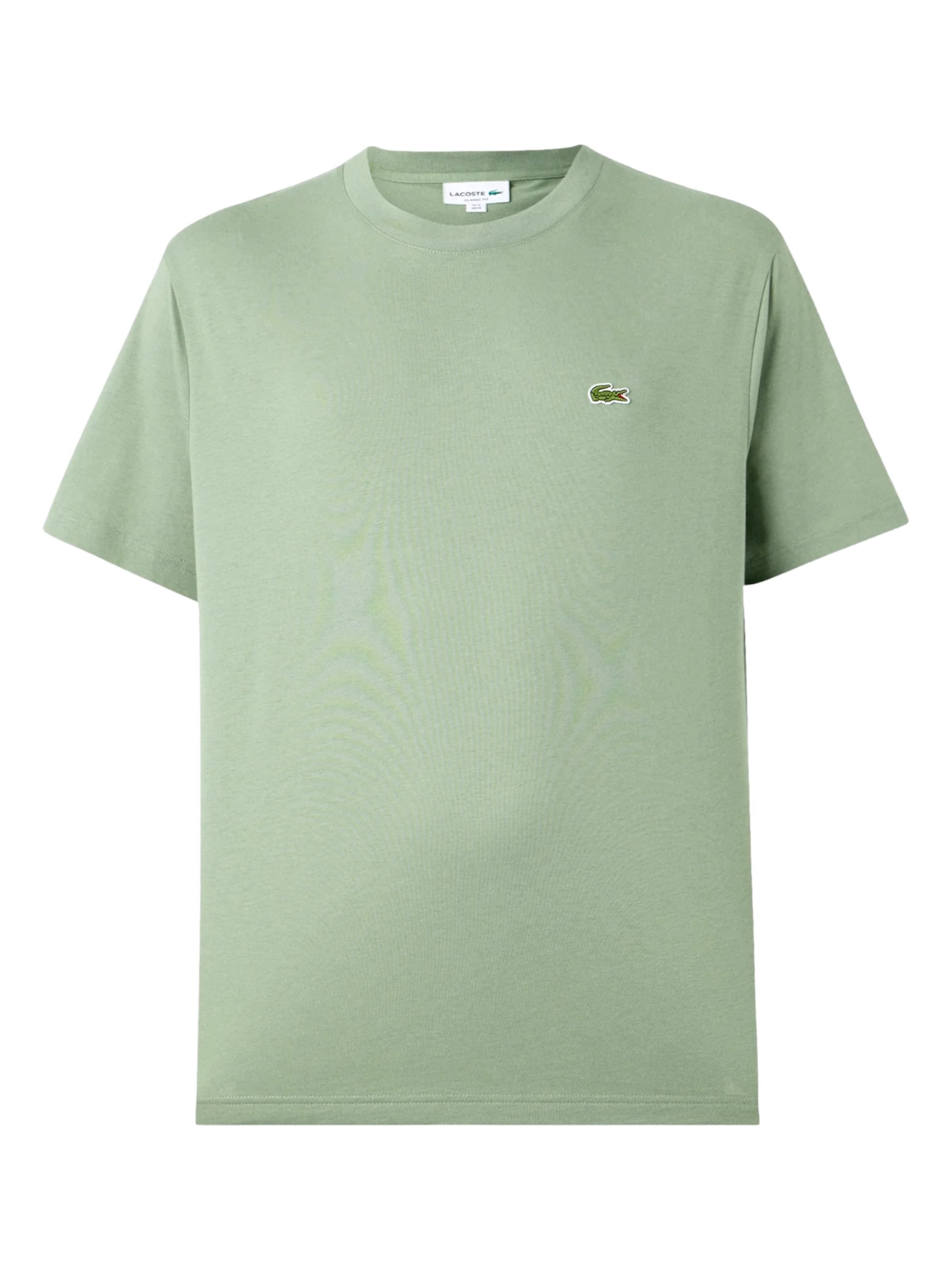 Maglietta di LACOSTE in verde: frontale