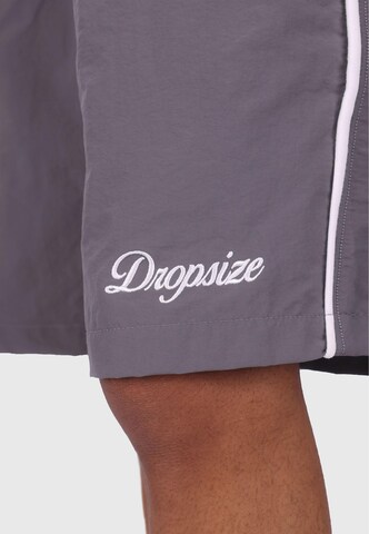 Regular Pantalon ' ' Dropsize en gris