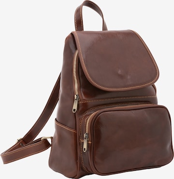Viola Castellani Backpack in Brown: front