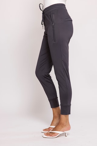 Zhrill Slim fit Pants in Grey