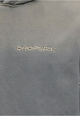 Dropsize Sweatshirt in Grey