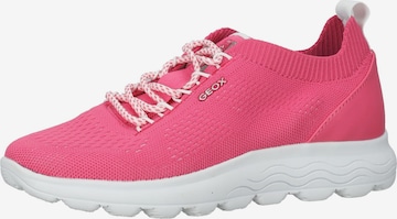 GEOX Sneaker in Pink: front