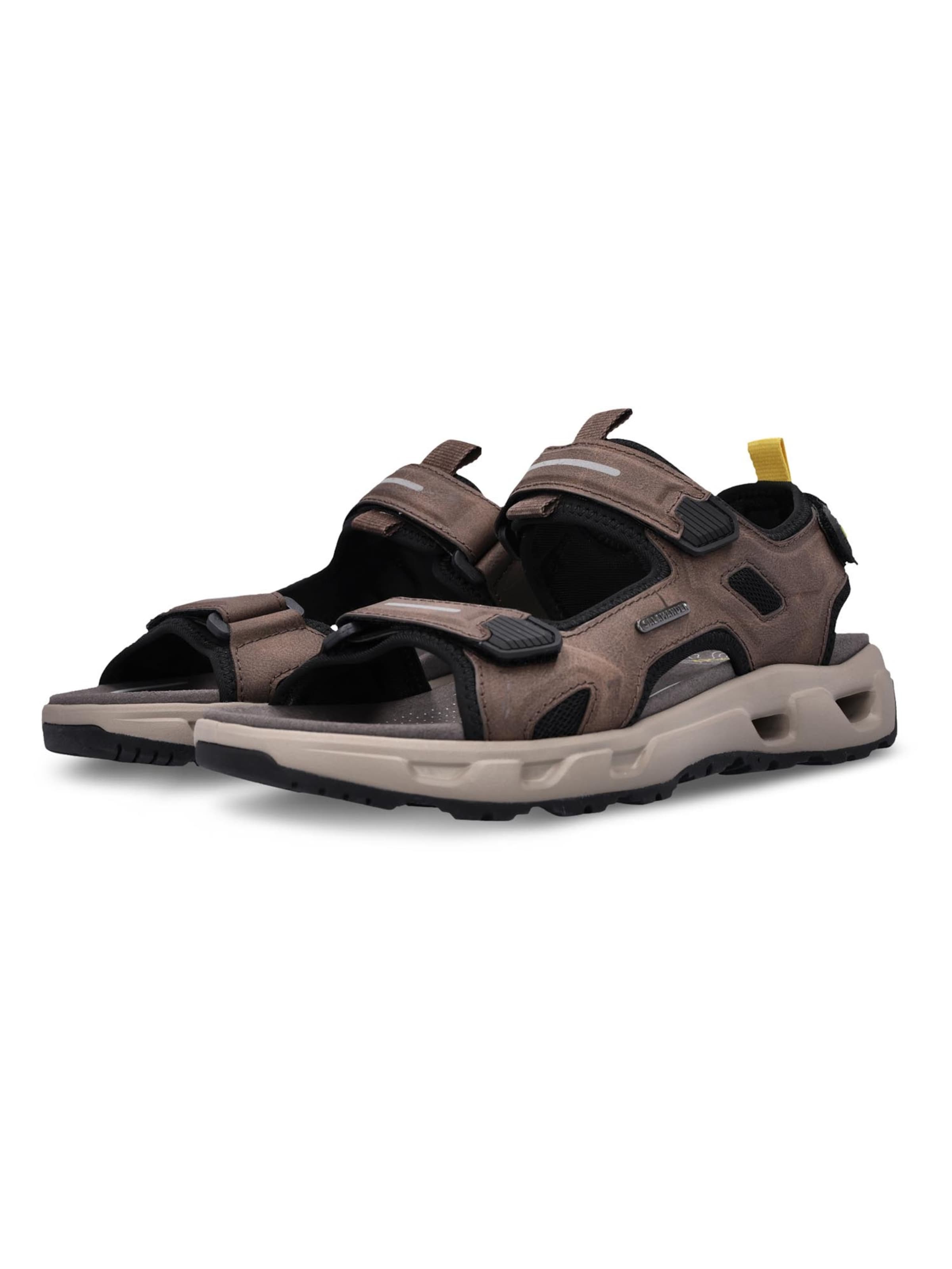 SALAMANDER Hiking Sandals 'Basic' in Brown