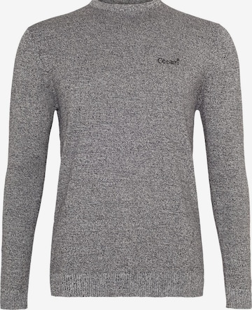Cocain Underwear Sweater in Grey: front