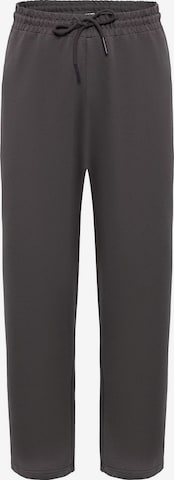 Dandalo Baggy Housut värissä harmaa: etupuoli